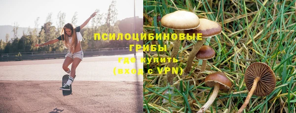 стафф Покровск