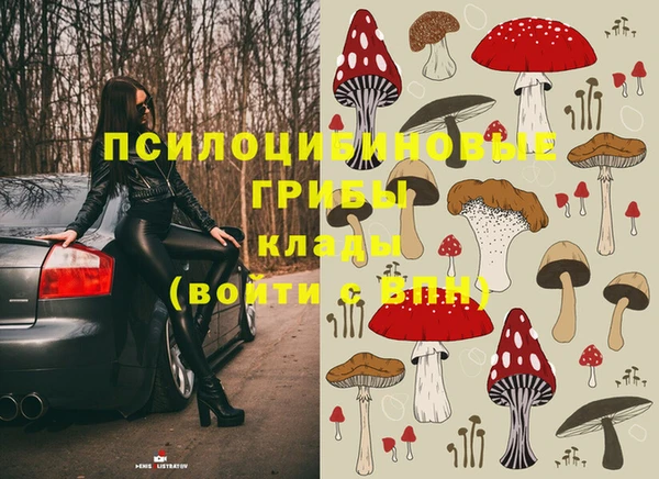 ГАЛЛЮЦИНОГЕННЫЕ ГРИБЫ Менделеевск