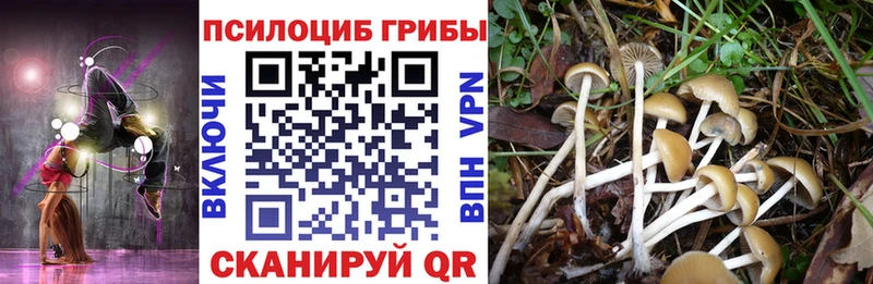 hydra рабочий сайт  где продают наркотики  Сосенский  Галлюциногенные грибы GOLDEN TEACHER 